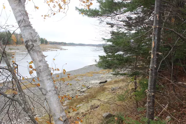 Pembroke, ME 04666,Lot #5 Hardy Point RD