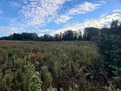 Mariaville, ME 04605,000 Mariaville RD