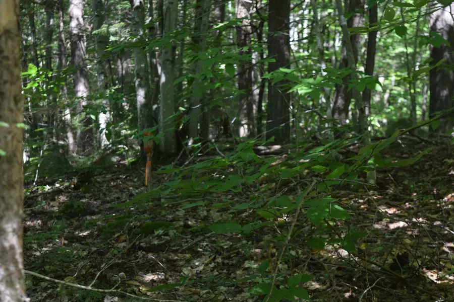 Map3 LOT8D Hall RD, Sebago, ME 04029