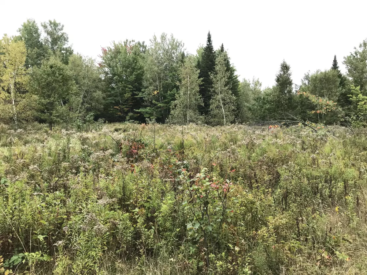 Medway, ME 04460,00 Rudge RD