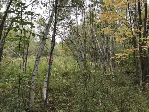 Medway, ME 04460,00 Rudge RD