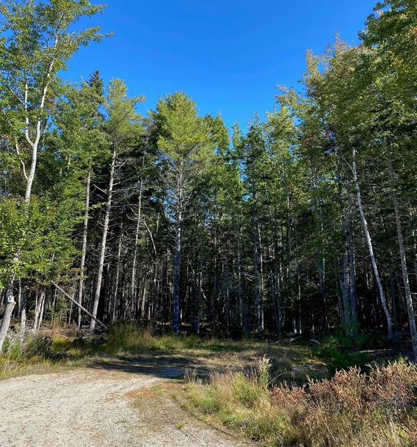 Lot 5 Bluff RD, Bar Harbor, ME 04609