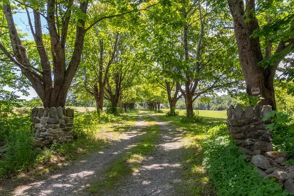 Rockport, ME 04856,30 Porter ST