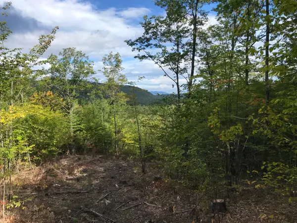 Hiram, ME 04041,00 River RD