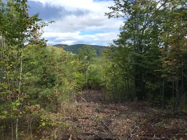 Hiram, ME 04041,00 River RD