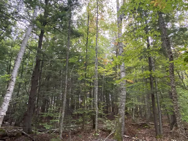 Old Town, ME 04468,M8L8A Poplar ST