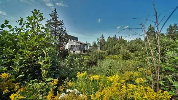 Cary Plt, ME 04471,122 Wilcox RD