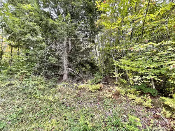 Springfield, ME 04487,Lot 7 Ham DR