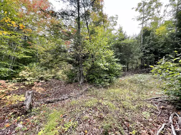 Springfield, ME 04487,Lot 7 Ham DR