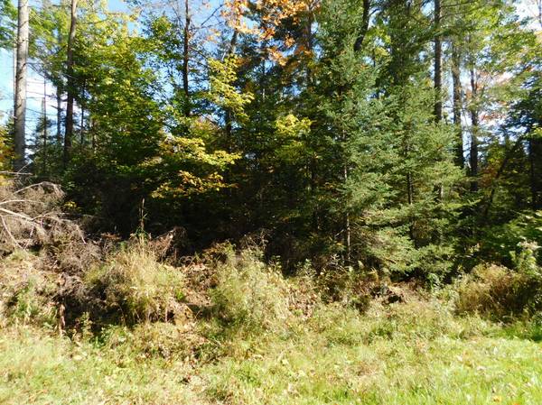 Cornville, ME 04976,000 Steam Mill RD #Lot 1