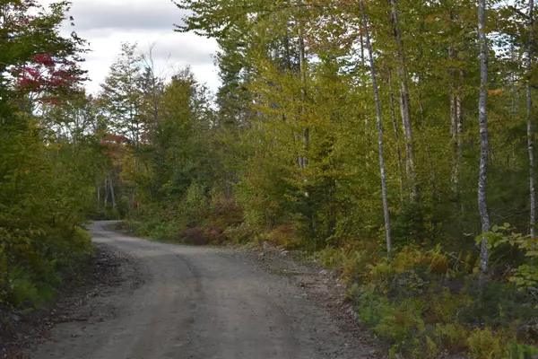 27.4 Acres Mill Hill RD, Springfield, ME 04487