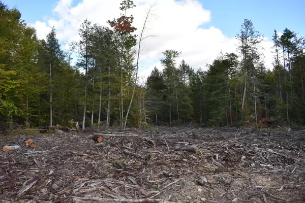 Springfield, ME 04487,27.4 Acres Mill Hill RD