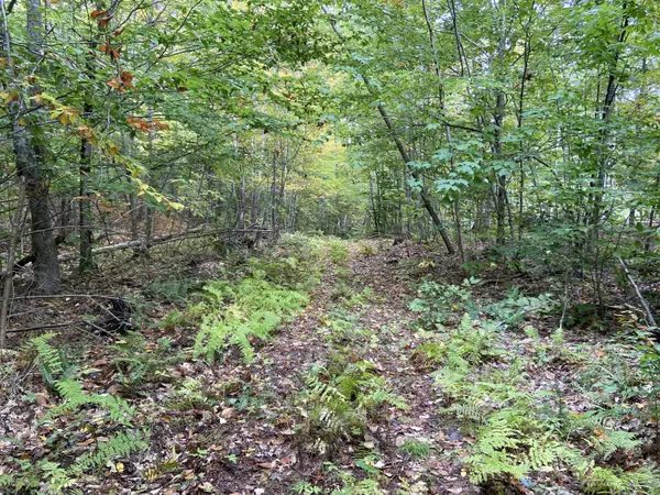 Freedom, ME 04941,Lot 4 Oak LN