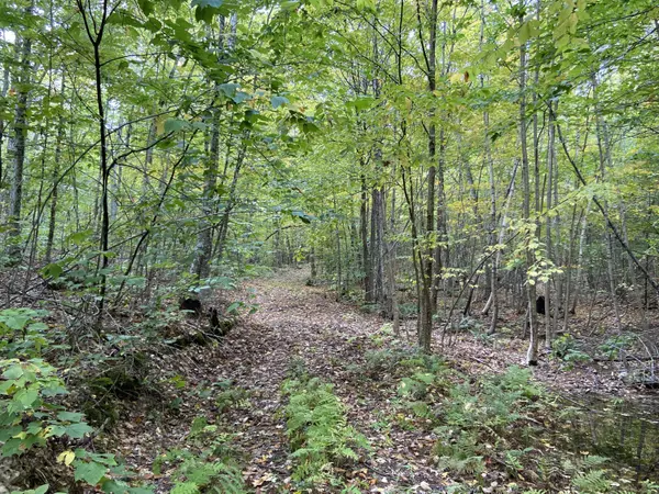 Freedom, ME 04941,Lot 4 Oak LN