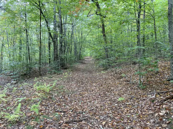 Freedom, ME 04941,Lot 4 Oak LN