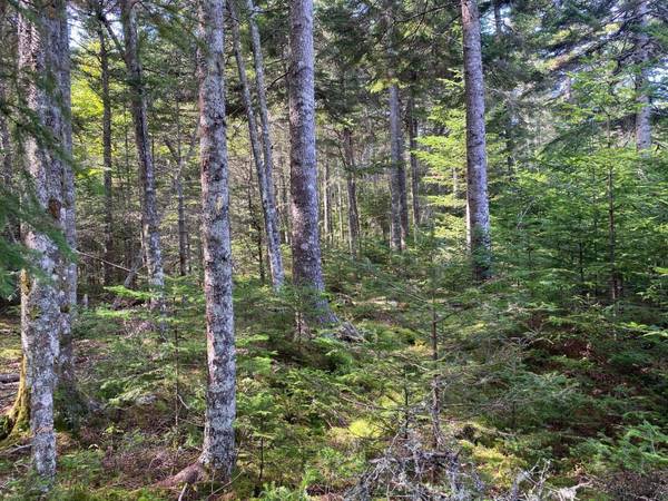 Cutler, ME 04626,Lot 16-2 Destiny Bay RD