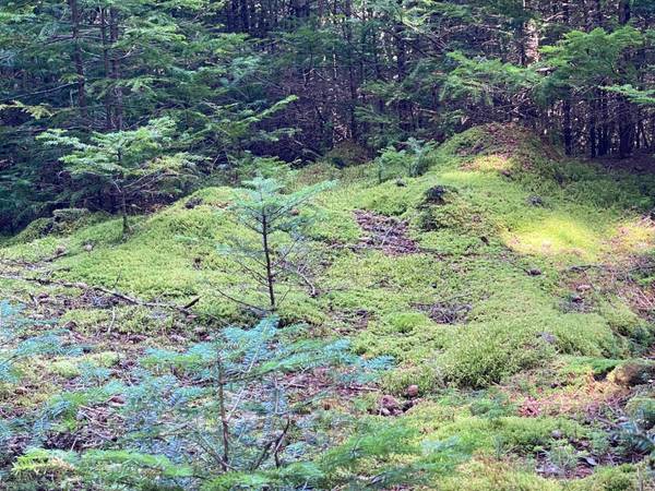 Cutler, ME 04626,Lot 16-2 Destiny Bay RD