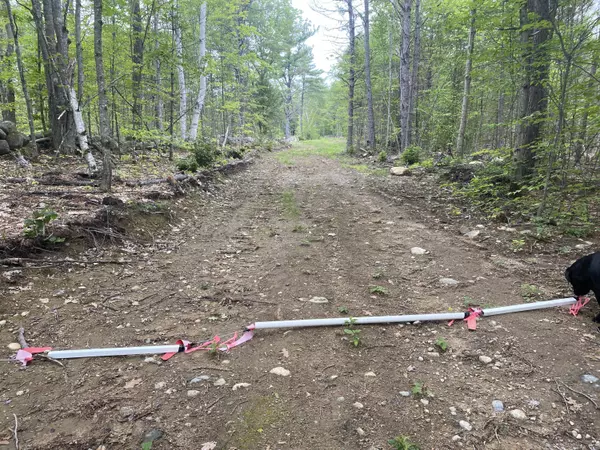 R11 Lot 19 Off Peary Mountain RD, Brownfield, ME 04010