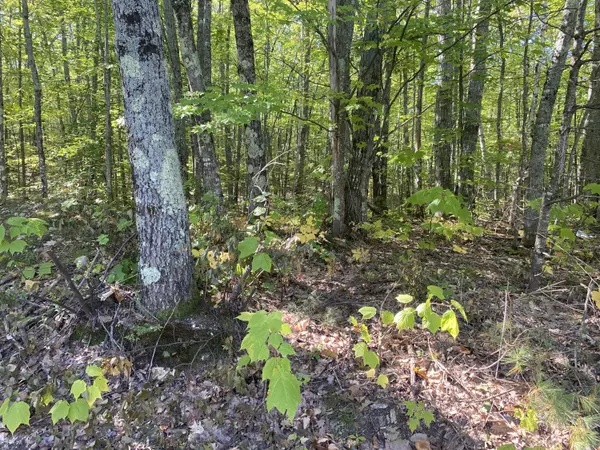 Waterboro, ME 04087,0 West Shore RD