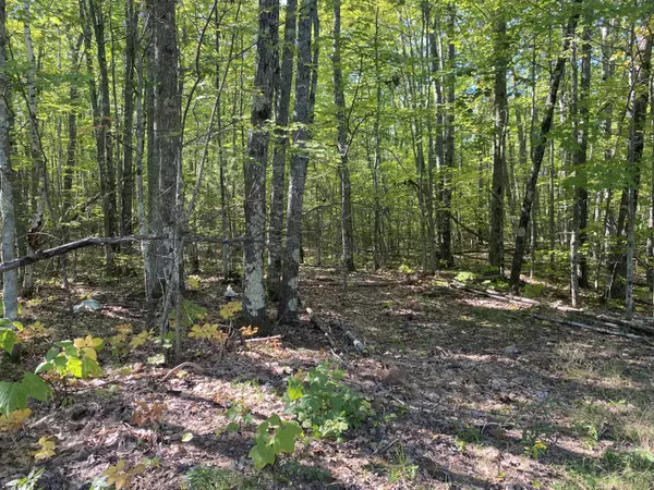 Waterboro, ME 04087,0 West Shore RD