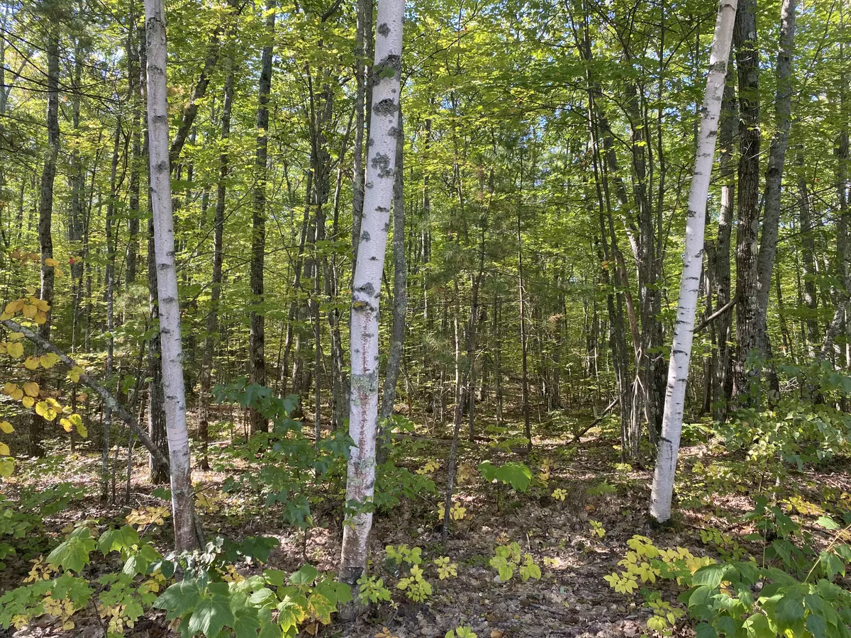 Waterboro, ME 04087,0 West Shore RD