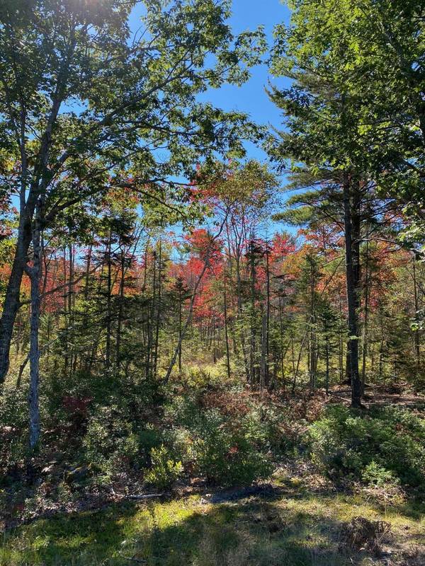 Lot 101 Bluff RD, Bar Harbor, ME 04609