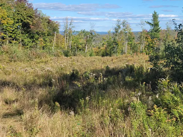 Lot 16&17 South Patten RD, Patten, ME 04765