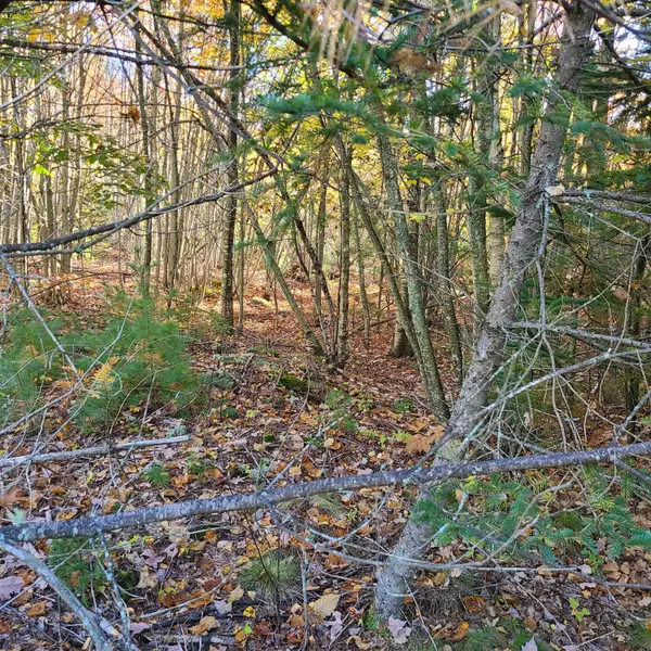 Surry, ME 04684,000 Blue Hill RD