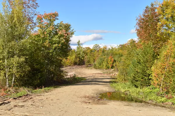 Off Clear Cut Lodge RD, Springfield, ME 04487