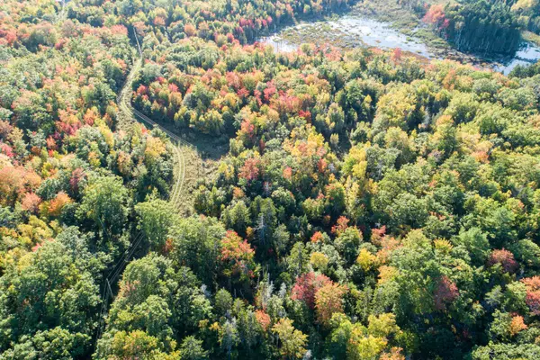 South Thomaston, ME 04858,00 Spruce Head RD