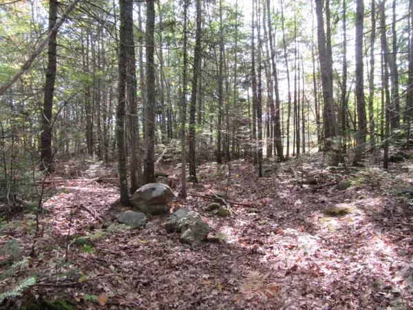 Kennebunkport, ME 04046,TBD Old Cape RD