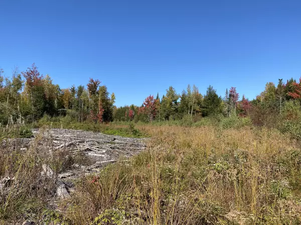 Mattawamkeag, ME 04459,Lot 25 Route 2