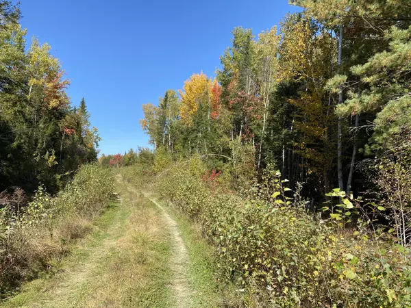Mattawamkeag, ME 04459,Lot 25 Route 2