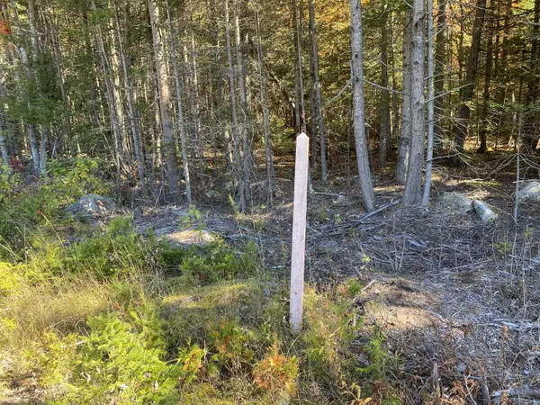 Mattawamkeag, ME 04459,Lot 45 Route 2