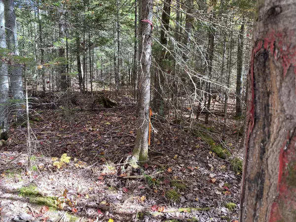 Mattawamkeag, ME 04459,Lot 45 Route 2