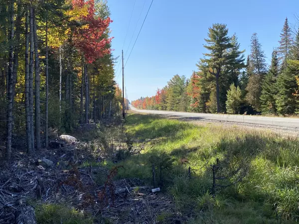 Mattawamkeag, ME 04459,Lot 45 Route 2