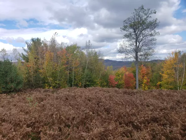 Stoneham, ME 04231,78 Stevens RD