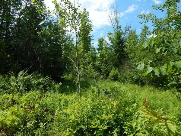 00 Collinstown RD, Appleton, ME 04862