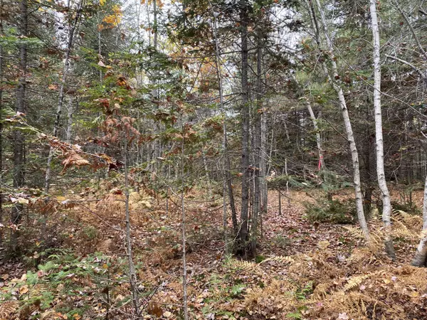 Norridgewock, ME 04957,Lot 6 Red Barn Road