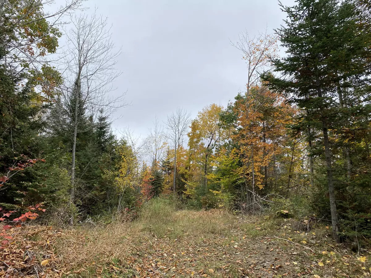 Norridgewock, ME 04957,Lot 6 Red Barn Road