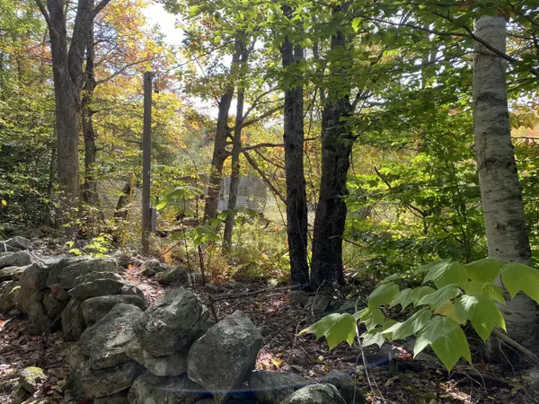 Liberty, ME 04949,78 Ridge School RD