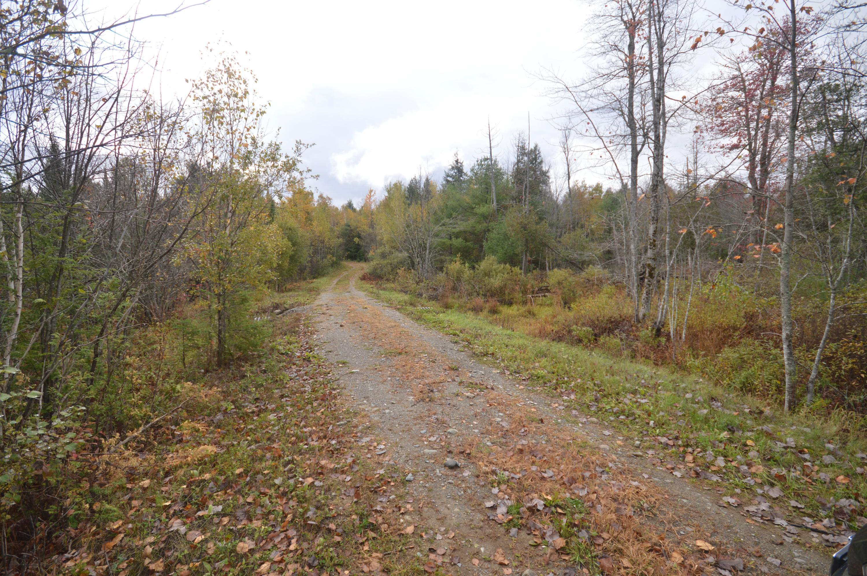 Carmel, ME 04419,0001-16B-3 Birchwood LN