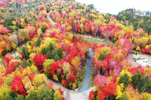 Beaver Cove, ME 04441,B8 Ermine LN #B8