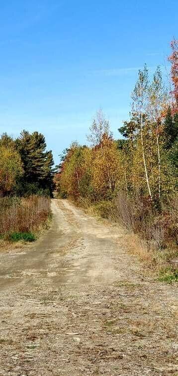 Lot 0 Sprague Mills Road & Off Bog RD, Greene, ME 04236