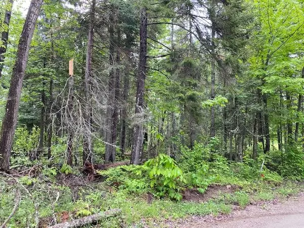 TBD Maze RD, Coplin Plt, ME 04982