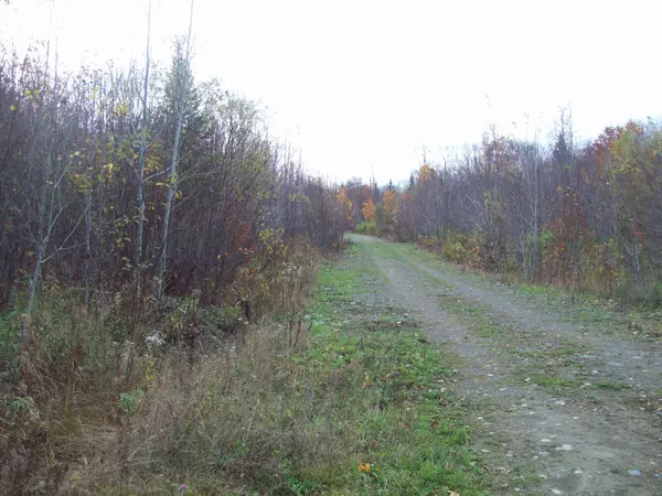 Mount Chase, ME 04765,tbd Mountain Road