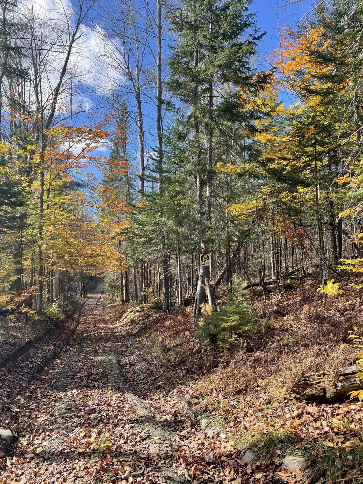 New Portland, ME 04961,TBD Colegrove RD