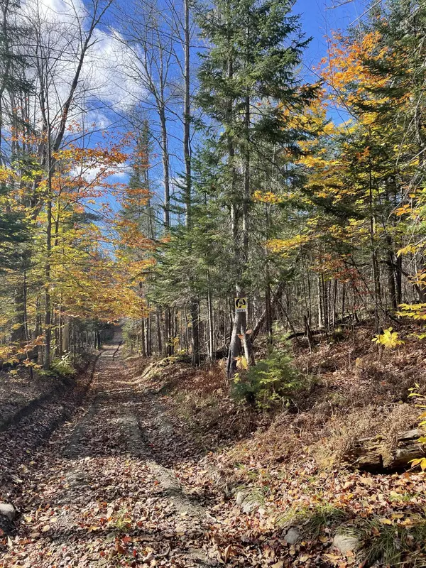 TBD Colegrove RD, New Portland, ME 04961