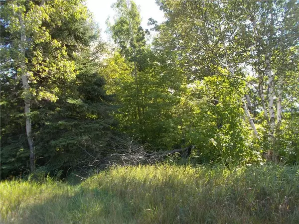 Portage Lake, ME 04768,Lot 19 Portage RD