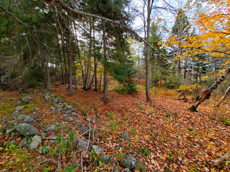 Lot 55-3 Wiswell Hill RD, East Machias, ME 04630